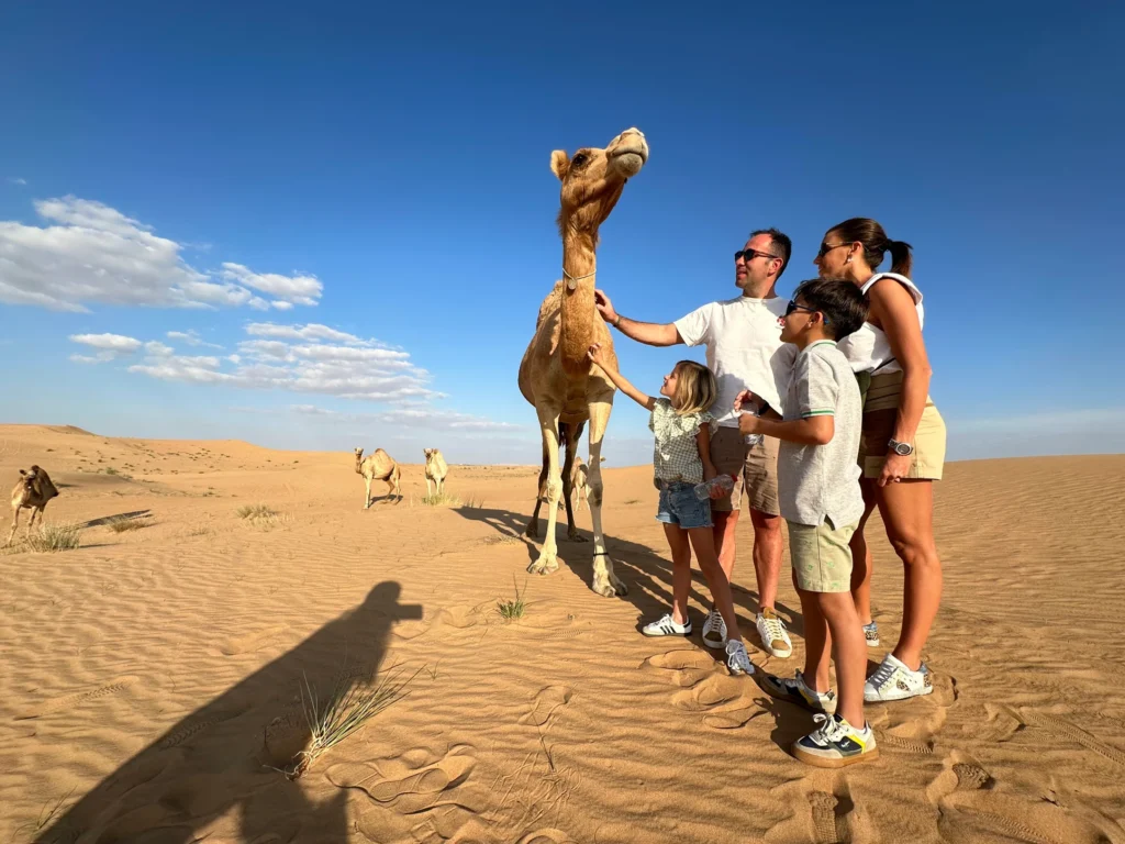 Tourists encounter a camel in the Dubai Desert during a Buggy Tour with SAZ