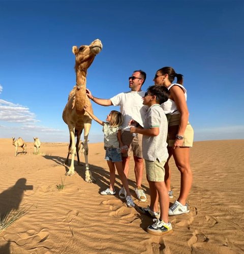 friendly-camels-blog
